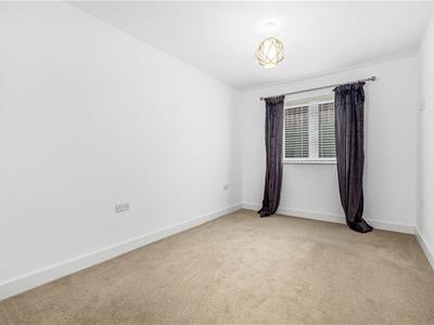Picture 24